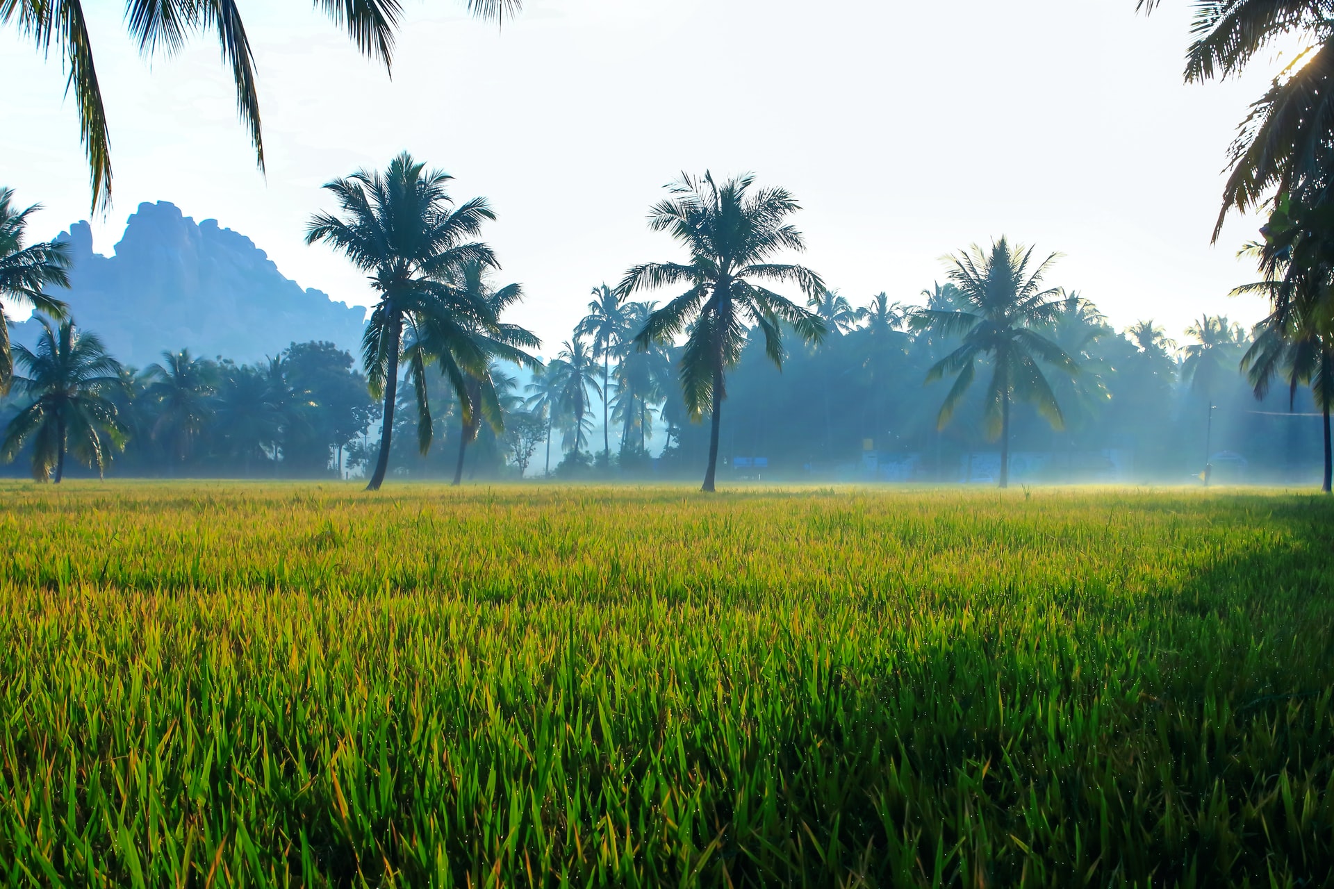 https://admin-prod.horasis.org/wp-content/uploads/2021/07/nandhu-kumar-03JtNfCubFw-unsplash-1.jpg