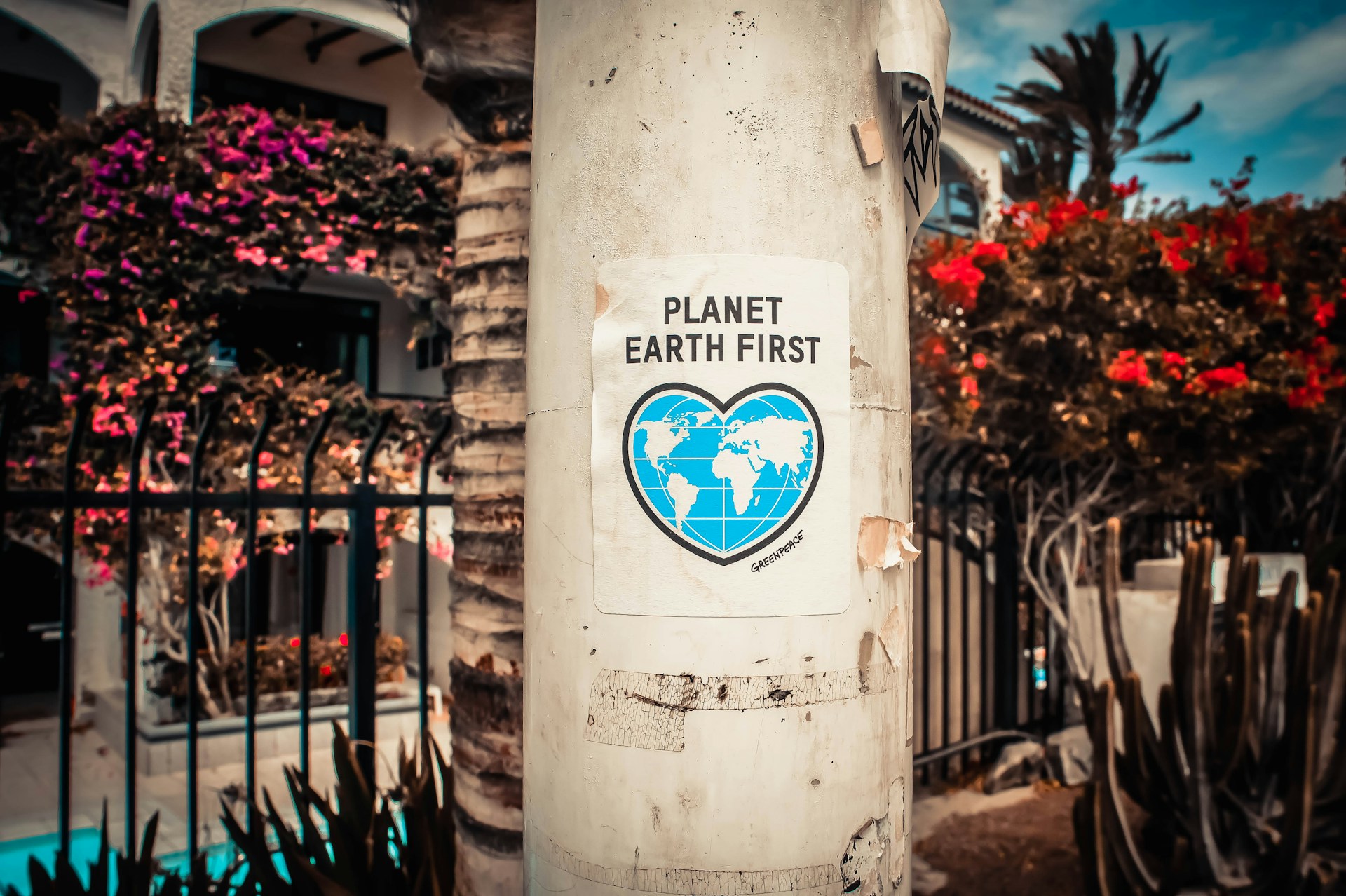 https://admin-prod.horasis.org/wp-content/uploads/2024/04/photo-boards-D0xQQsZovws-unsplash-1.jpg